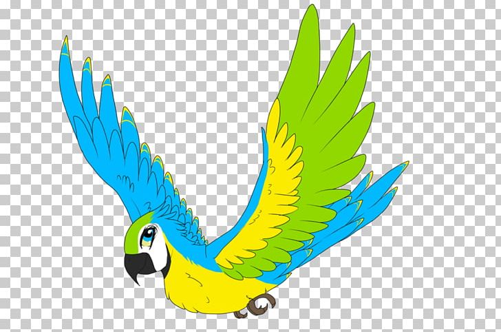 Macaw Feather Beak Parakeet PNG, Clipart, Animals, Beak, Bird, Common Pet Parakeet, Computer Free PNG Download