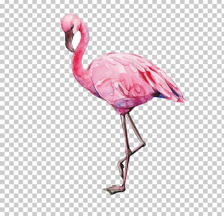 Flamingo Bird Watercolor Painting Illustration PNG, Clipart, Animals, Art, Ave, Beak, Bird Free PNG Download