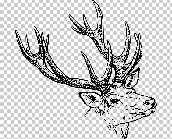 Reindeer White-tailed Deer Antler PNG, Clipart, Animals, Antler, Artwork, Black And White, Deer Free PNG Download