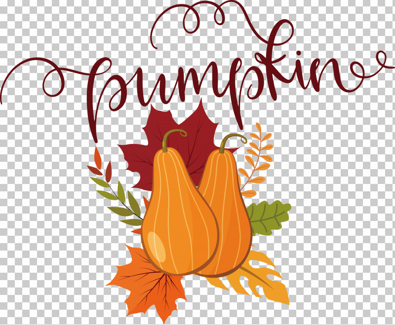 Pumpkin PNG, Clipart, Autumn, Pumpkin Free PNG Download