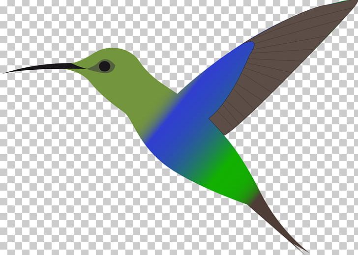 Hummingbird PNG, Clipart, Animals, Beak, Bird, Computer Icons, Download Free PNG Download