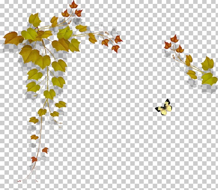 Maple Leaf Painting Paper PNG, Clipart, Branch, Card, Collection, Flatcast Tema, Flora Free PNG Download