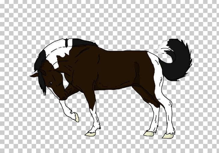 Mustang Stallion Rein Cattle Mammal PNG, Clipart,  Free PNG Download