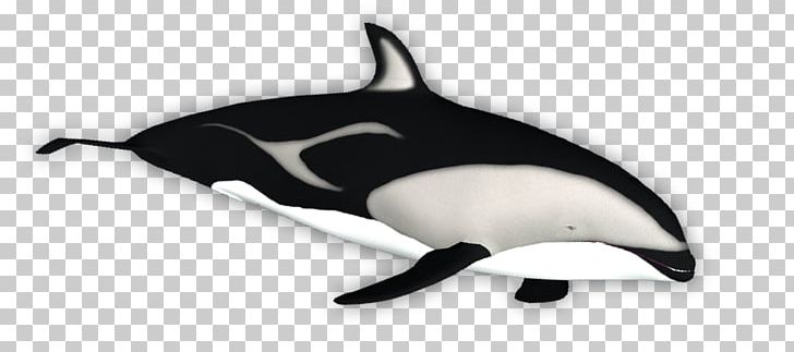 Tucuxi White-beaked Dolphin Porpoise Killer Whale PNG, Clipart, Animal, Animal Figure, Animals, Beak, Cetacea Free PNG Download