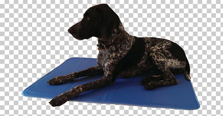 Boykin Spaniel Dog Breed Bed PNG, Clipart, Bed, Boykin Spaniel, Breed, Dog, Dog Bed Free PNG Download