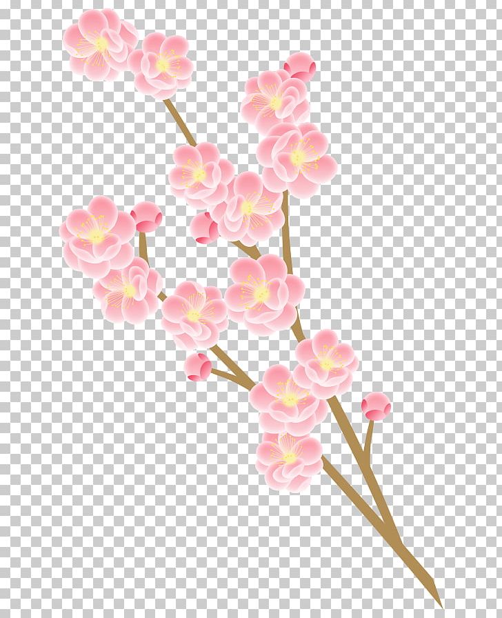 Photography Flower Peach Cherry Blossom PNG, Clipart, Amana Holdings Inc, Blossom, Book Illustration, Branch, Cherry Blossom Free PNG Download