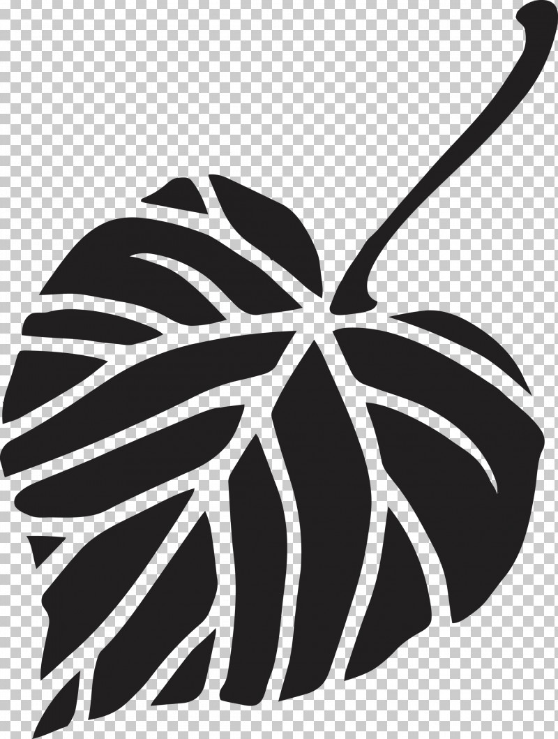 Bodhi Leaf Bodhi Day Bodhi PNG, Clipart, Anthurium, Blackandwhite, Bodhi, Bodhi Day, Bodhi Leaf Free PNG Download