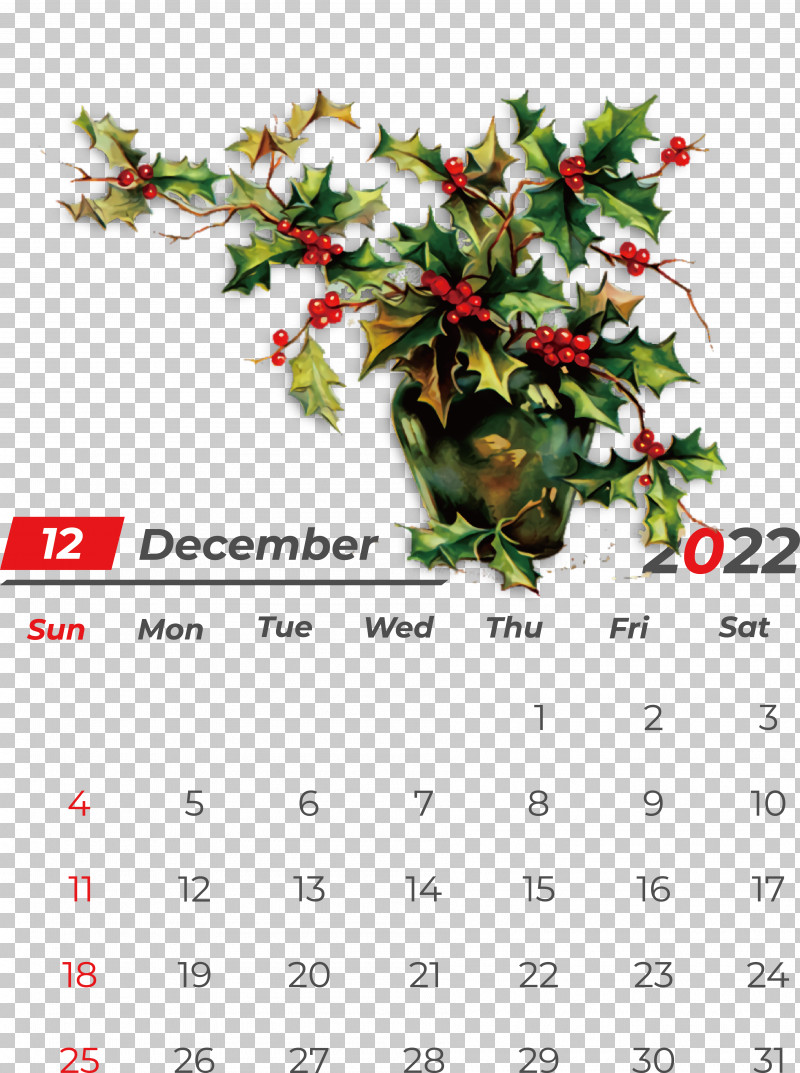 Christmas Graphics PNG, Clipart, American Holly, Aquifoliales, Bauble, Christmas Day, Christmas Graphics Free PNG Download