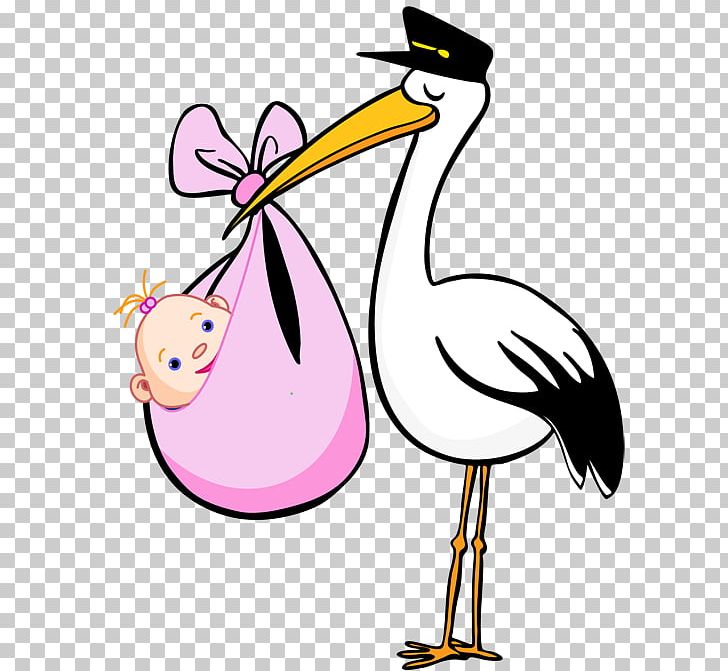 Bird Stork Cartoon PNG, Clipart, Animation, Artwork, Beak, Bird, Cartoon Free PNG Download