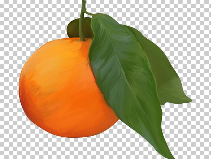 Clementine Orange Juice Fruit PNG, Clipart, Calabaza, Citrus, Cucurbita, Diospyros, Ebony Trees And Persimmons Free PNG Download