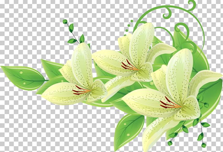 Flower Encapsulated PostScript PNG, Clipart, Cut Flowers, Download, Encapsulated Postscript, Flower, Flowering Plant Free PNG Download