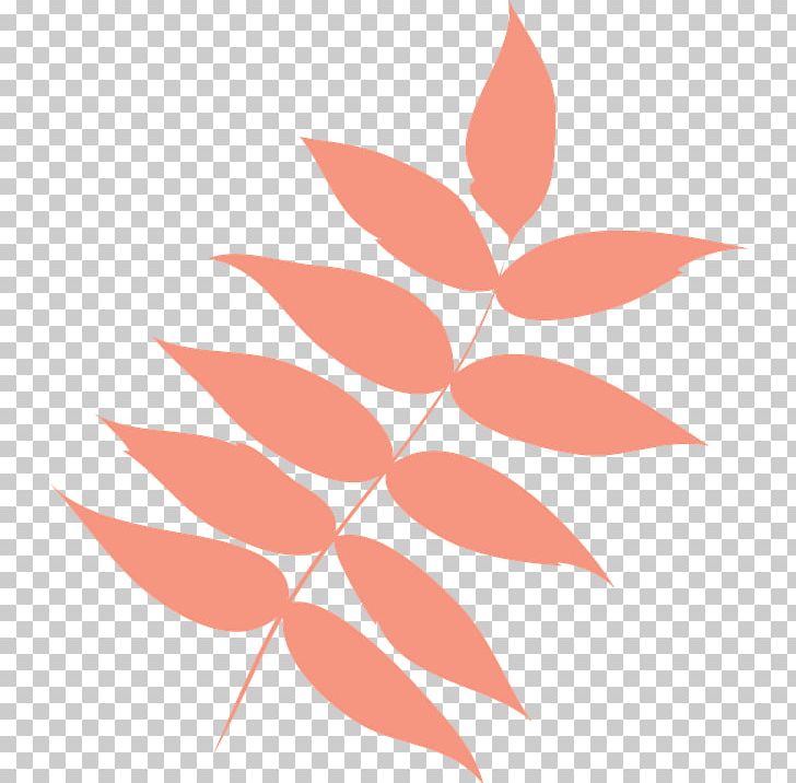 Leaf Petal Bougainvillea Spectabilis PNG, Clipart, Abscission, Angle, Autumn, Autumn Leaf, Bougainvillea Spectabilis Free PNG Download