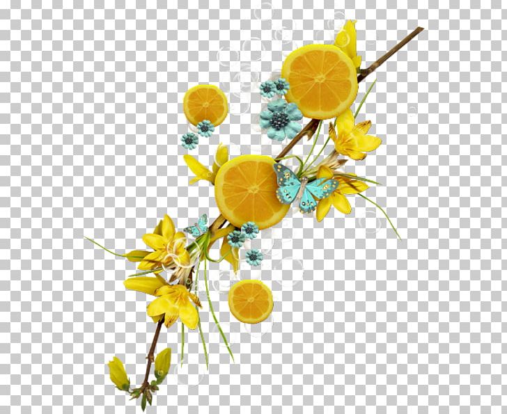 Lemon Fruit Auglis Flower PNG, Clipart, Auglis, Citrus, Cut Flowers, Download, Flora Free PNG Download