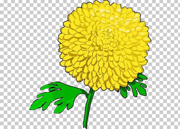 Paper Printing Printer Chrysanthemum Yellow PNG, Clipart, Chrysanthemum Chrysanthemum, Chrysanthemums, Color, Crop, Dahlia Free PNG Download