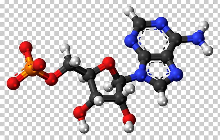 Adenosine Monophosphate Adenosine Triphosphate Molecule Uridine Monophosphate PNG, Clipart, Adenine, Adenosine, Adenosine Monophosphate, Adenosine Triphosphate, Body Jewelry Free PNG Download