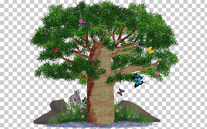 Biome Bonsai Branching PNG, Clipart, Africa Tree, Biome, Bonsai, Branch, Branching Free PNG Download