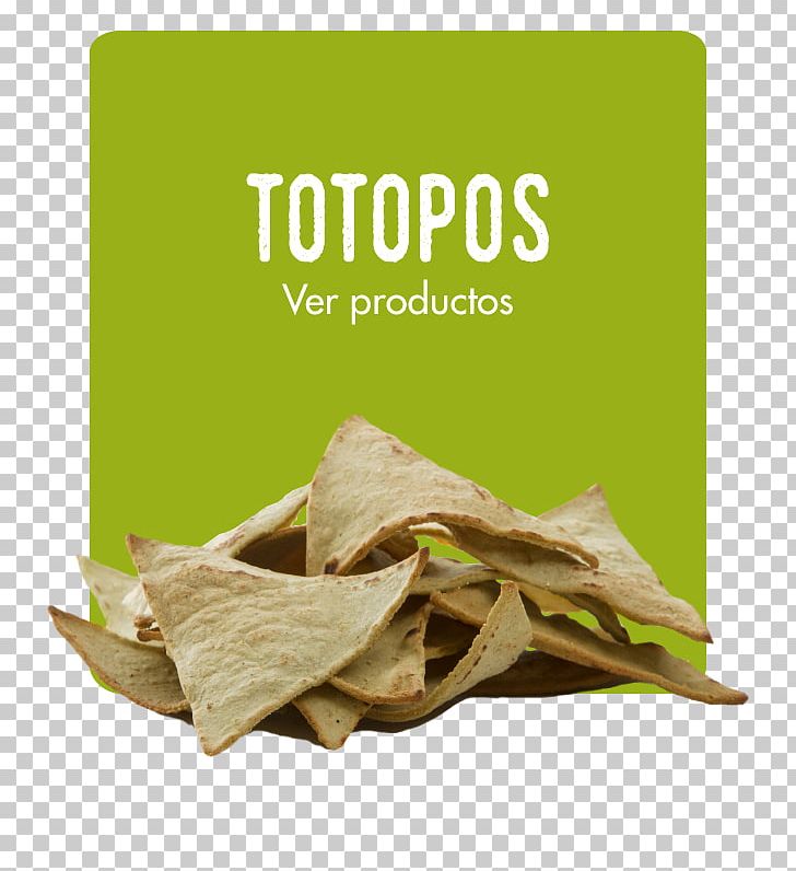 Cactaceae Nopal Barbary Fig Spanish Omelette Tortilla Chip PNG, Clipart, Barbary Fig, Cactaceae, Cancer, Chemical Compound, Dietary Fiber Free PNG Download