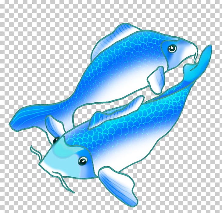 Koi Fish Drawing Blue PNG, Clipart, Animal, Animals, Aqua, Blue, Color Free PNG Download