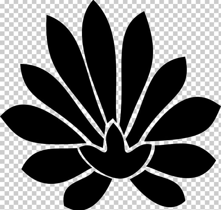 Petal India PNG, Clipart, Black And White, Blossom, Flora, Flower, Flowering Plant Free PNG Download