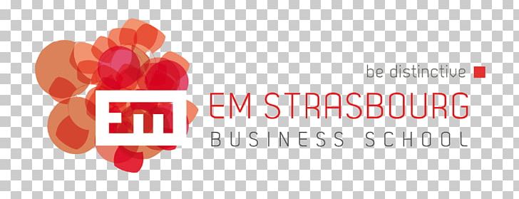 EM Strasbourg Business School Grenoble School Of Management Burgundy School Of Business PNG, Clipart,  Free PNG Download