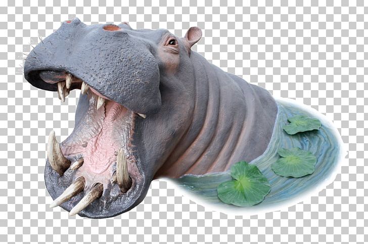 Hippopotamus Snout Animal Figurine Organism PNG, Clipart, Animal, Animals, Figurine, Hippo, Hippopotamus Free PNG Download