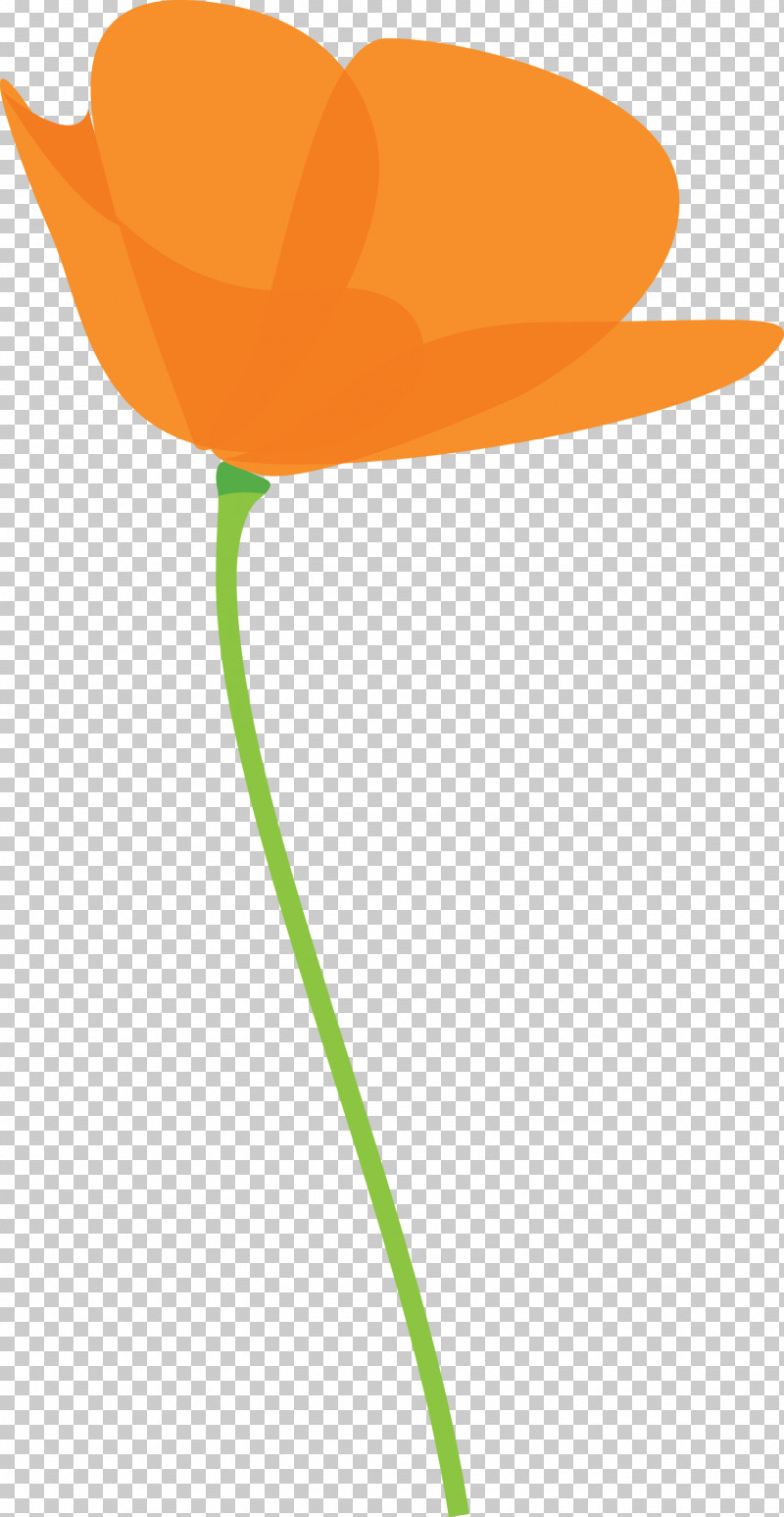 Poppy Flower PNG, Clipart, Anthurium, Flower, Lily Family, Orange, Plant Free PNG Download