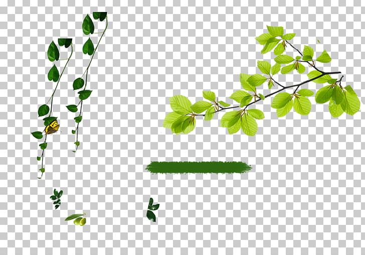 Advertising Poster Leaf Gratis PNG, Clipart, Angle, Area, Art, Background Green, Background Vector Free PNG Download