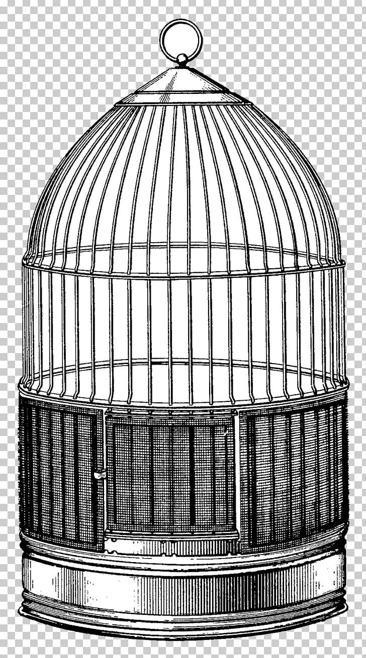 Birdcage Parrot Birds And People PNG, Clipart, Animals, Antique, Antique Furniture, Bird, Bird Cage Free PNG Download