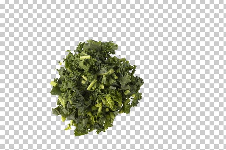 Leaf Vegetable Herb PNG, Clipart, Herb, Kale, Leaf Vegetable, Others, Superfood Free PNG Download