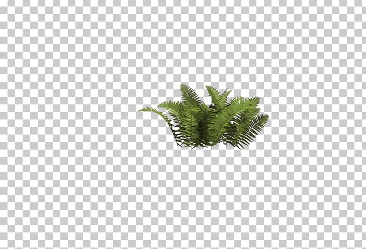 Shrub Tree PNG, Clipart, Artificial Grass, Computer Wallpaper, Creative, Creative Grass, Document Free PNG Download