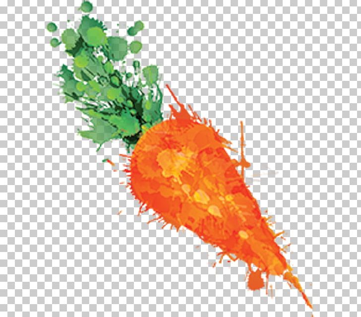 Cumbria Carrot Matey Boy Vegetable Writing PNG, Clipart, Art, Carrot, Cumbria, Food, Kevin Fegan Free PNG Download