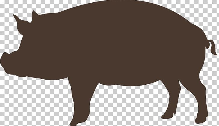 Domestic Pig Graphic Design PNG, Clipart, Animal, Animals, Boar, Boar Vector, Cattle Like Mammal Free PNG Download