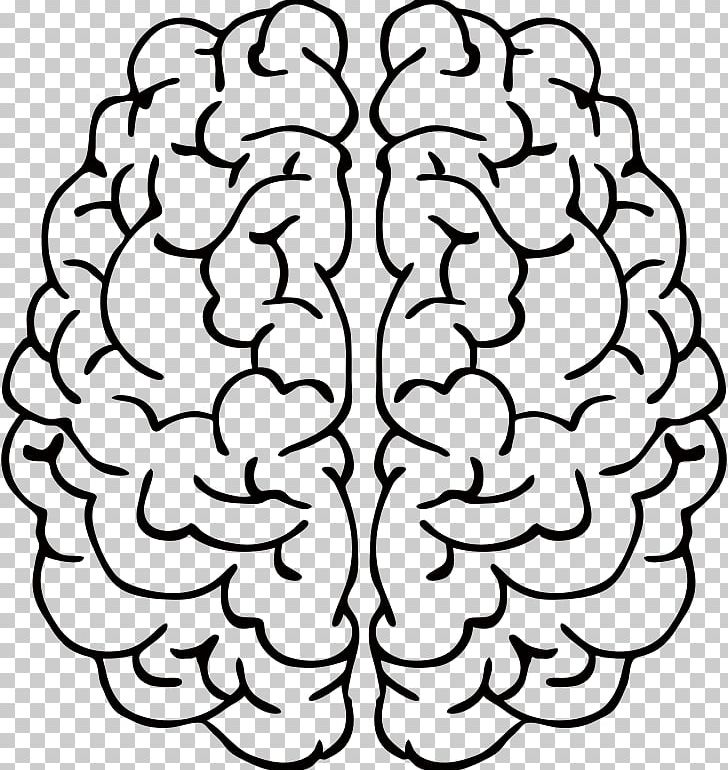 Line Art Drawing Brain PNG, Clipart, Abstract, Abstract Art, Area, Art, Black And White Free PNG Download