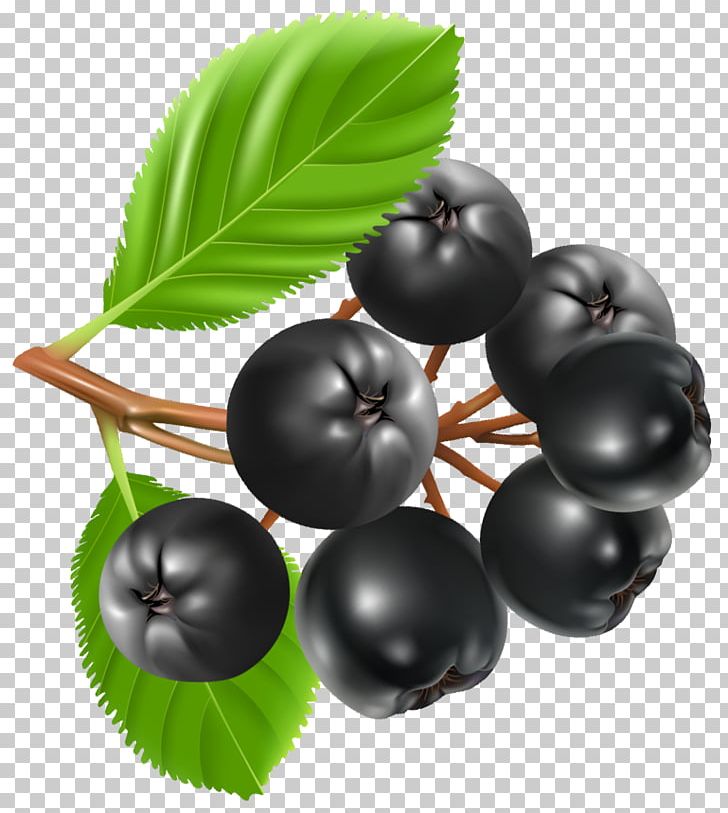 Blueberry Pie Bilberry PNG, Clipart, Berry, Bilberry, Blackcurrant, Blueberries, Blueberry Free PNG Download