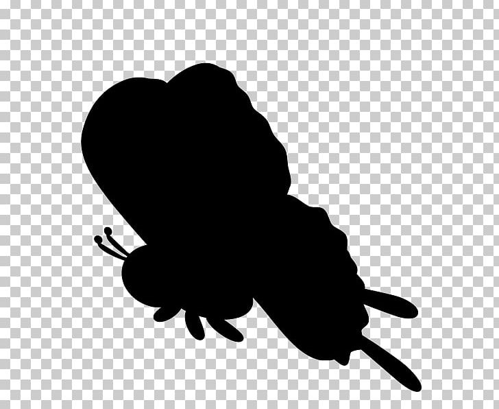 Silhouette Silkie Egg Urban Chicken PNG, Clipart, Animals, Black, Black And White, Branch, Butterfly Silhouette Free PNG Download