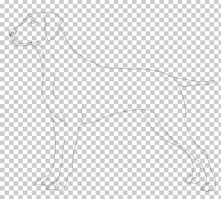 Whippet Italian Greyhound Dog Breed Companion Dog PNG, Clipart, Artwork, Black, Black And White, Breed, Carnivoran Free PNG Download