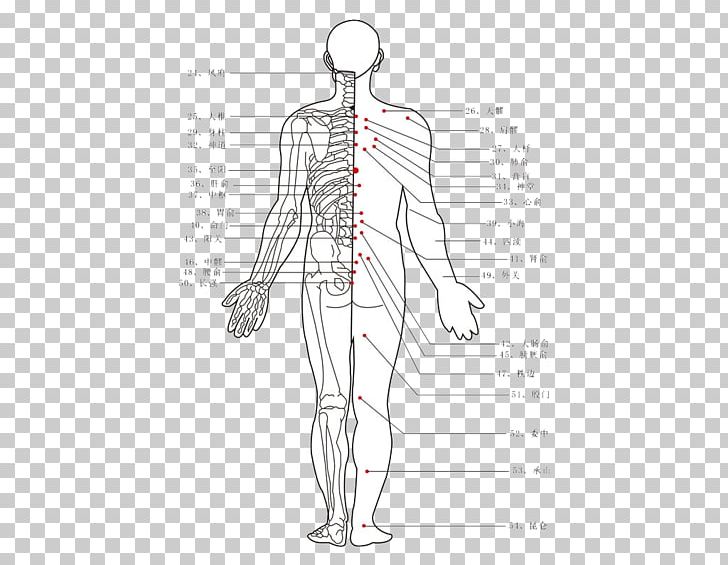 Acupuncture Moxibustion Traditional Chinese Medicine Akupunktiopiste PNG, Clipart, Abdomen, Africa Map, Angle, Arm, Hand Free PNG Download