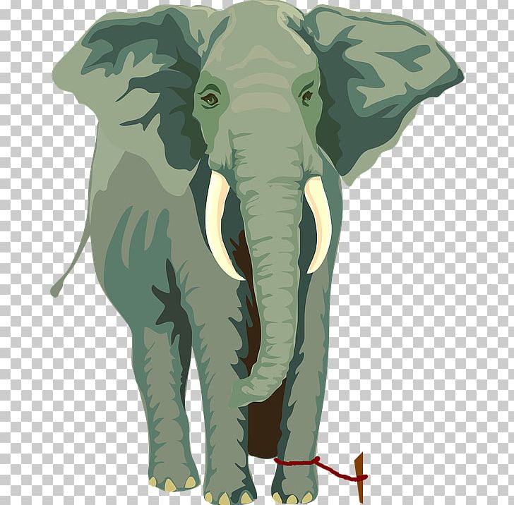 African Elephant Asian Elephant Rope The Elephants PNG, Clipart, African Elephant, Animal, Animals, Asian Elephant, Cattle Like Mammal Free PNG Download