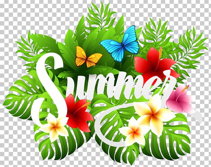 For Summer PNG, Clipart, Annual Plant, Clip Art, Clip Art For Summer, Doodle, Download Free PNG Download