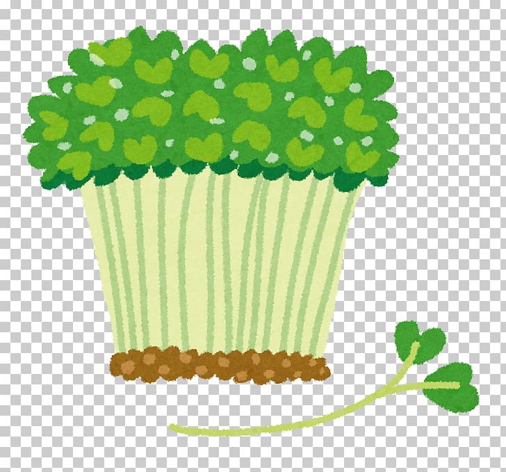 Sprouting Kaiware Daikon Sulforaphane Food Carbonated Water PNG, Clipart, Antioxidant, Baking Cup, Broccoli, Carbonated Water, Detoxification Free PNG Download