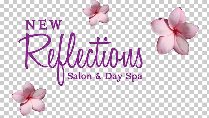 Williamstown Petal Cut Flowers Desktop PNG, Clipart, Blossom, Bracelet, Candle, Computer, Computer Wallpaper Free PNG Download