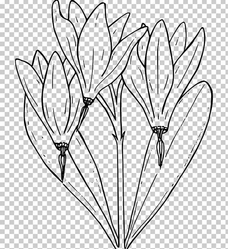 Drawing Flower PNG, Clipart, Area, Black And White, Branch, Coloring Book, Computer Icons Free PNG Download