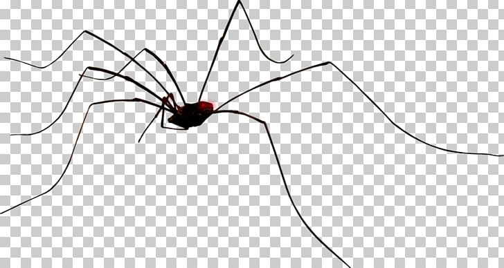 Line Insect Point Angle Wing PNG, Clipart, Arachnid, Arthropod, Black, Black And White, Creative Background Free PNG Download