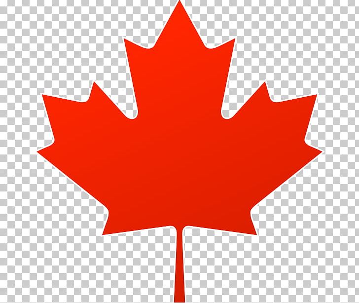 Maple Leaf Canada PNG, Clipart, Canada, Flag Of Canada, Flower, Flowering Plant, Green Free PNG Download