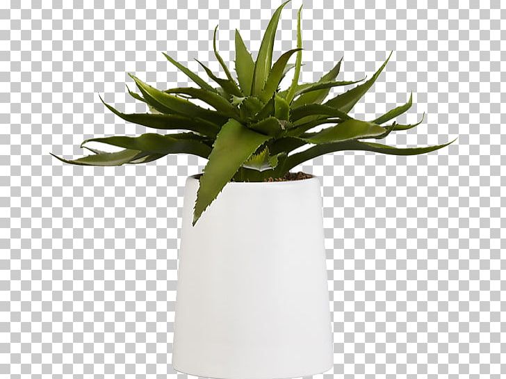 Aloe Vera Houseplant Succulent Plant Flowerpot Artificial Flower PNG, Clipart, Agave, Aloe, Aloe Vera, Artificial Flower, Cactaceae Free PNG Download