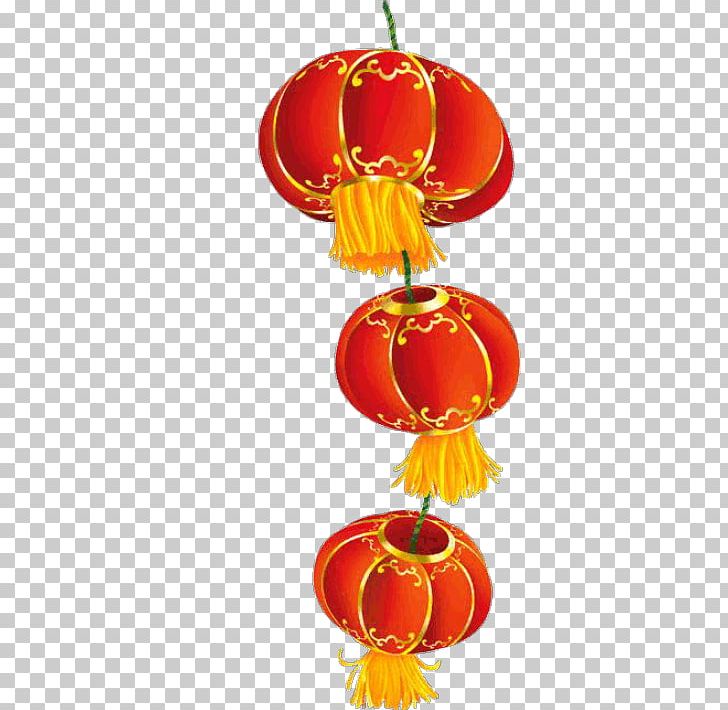 Chinese New Year Lion Dance Chinese Zodiac PNG, Clipart, Bainian, Chinese Dragon, Chinese New Year, Chinese Zodiac, Christmas Ornament Free PNG Download