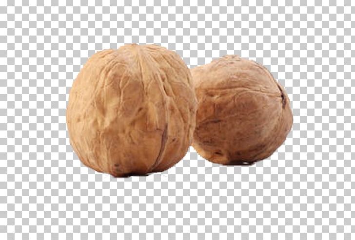 English Walnut Fruit PNG, Clipart, Auglis, Commodity, Encapsulated Postscript, English Walnut, Euclidean Vector Free PNG Download