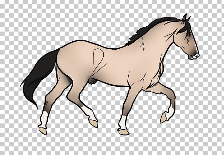 Foal Mane Mustang Stallion Bridle PNG, Clipart, Animal Figure, Bridle, Colt, English Riding, Equestrian Free PNG Download