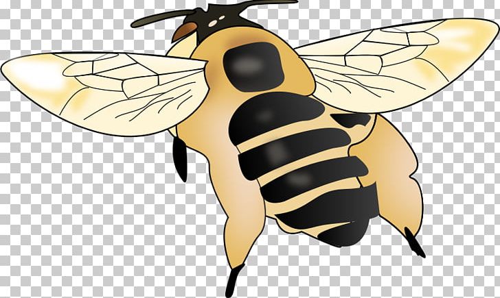 Honey Bee Insect Beekeeper Beehive PNG, Clipart, Animal, Apiary, Arthropod, Bee, Beehive Free PNG Download