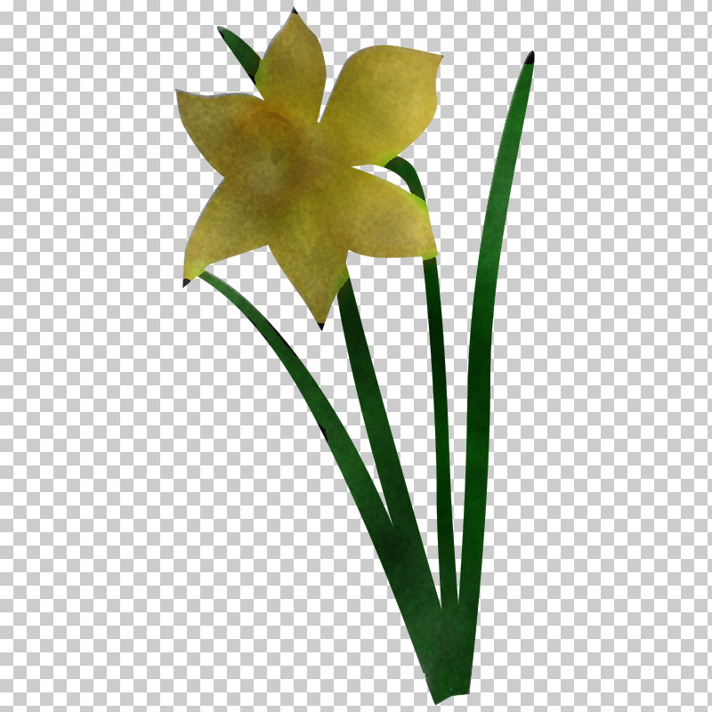 Flower Plant Yellow Petal Pedicel PNG, Clipart, Amaryllis Family, Flower, Hippeastrum, Houseplant, Narcissus Free PNG Download